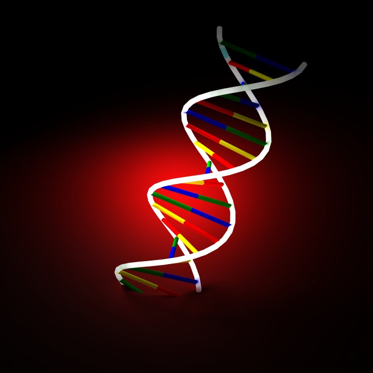 DNA image courtesy of Svilen Milev
