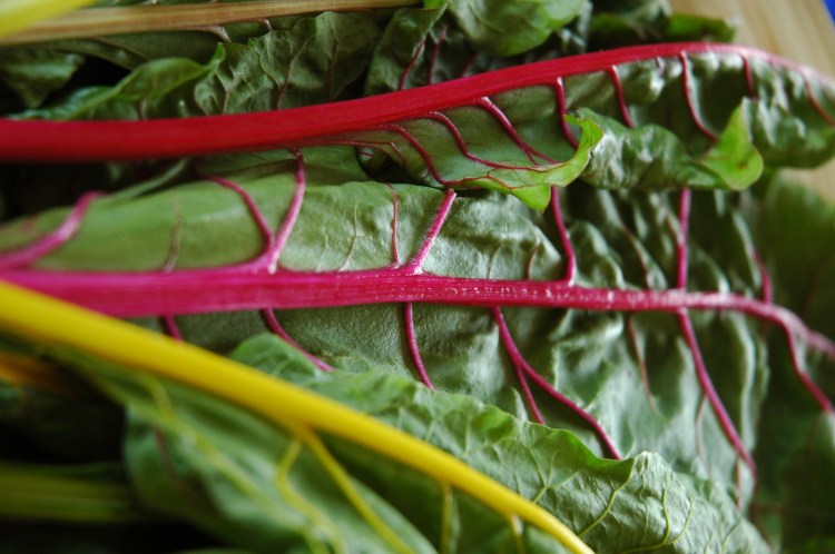 Rainbow Chard