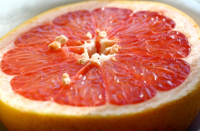 2079023560_fc719efd88_o